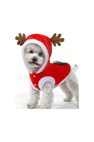 Noel Baba Geyiği Köpek Kostümü Küçük Irk Evcil Hayvanlar İçin Polyester Kapüşonlu Çıtçıtlı Fleece