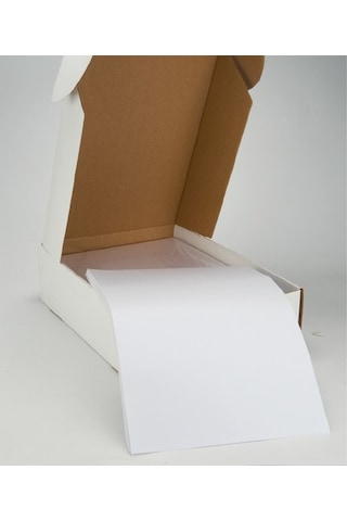 Tanex Tw-2000 210X297 MM Laser Etiket 100 Ad.