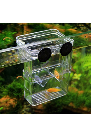 Xindoker Büyük Boy Şeffaf Balık Yavruları Koruma Kutusu - Çok Amaçlı Akvaryum İzolasyon Kutusu
