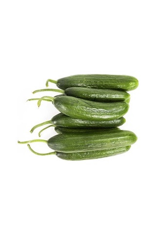 Bykurt Sunagri Çengelköy Salatalık Tohumu - 5 Gr Lezzetli, Bol Verimli