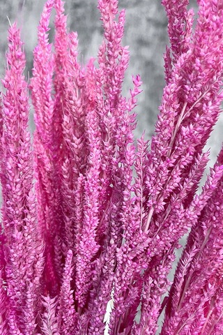 Pembe Bulgur Otu Vazo Aranjman Çiçeği