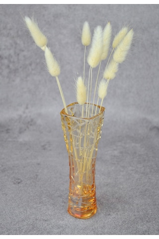 Honey Cam Vazo Mini 17 Cm- 1 Adet