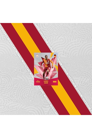 Galatasaray 2025-26 Sezon Kartları - Metal Kutu