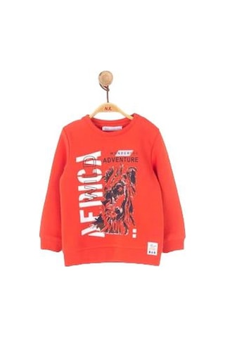 Nk Kids Erkek Çocuk Pamuklu Aslan Baskılı Sweatshirt-11226-mercan Mercan