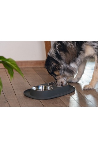 Beeztees Köpek İkili Mama Ve Su Kabı, Paslanmaz Çelik, 40x24cm, 2x500ml