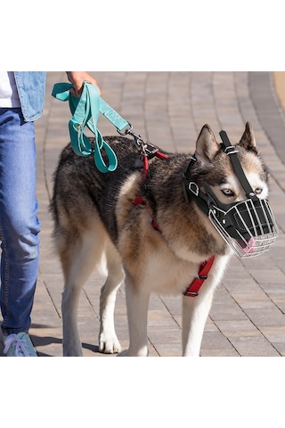 İri Irk Metal Deri Köpek Ağızlığı 43 Cm Xxl Siyah