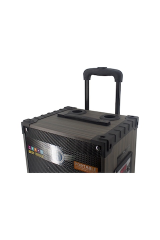 Lt-912 Dijital Led Göstergeli Fm Radyolu Mikrofonlu Gitar Girişli Tws 12 İnç Stereo Bass Kablosuz Karaoke Hoparlör