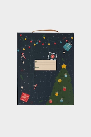 Defacto Yılbaşı Temalı Advent Calendar G2227axnskr1 Diğer