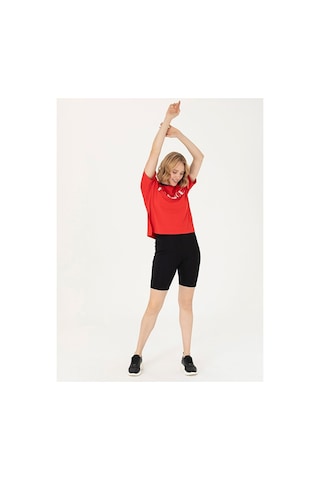 U.S. Polo Assn. U.s. Polo Assn. Lastikli Bel Slim Fit Kadın Şort T-s Çok Renkli