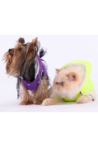 Pawstar Mor Railway Anorak Yelek Köpek Yeleği
