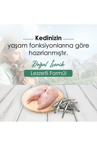 CatPlus Tavuklu ve Hamsili Yetişkin Kedi Maması 2 x 1500 G