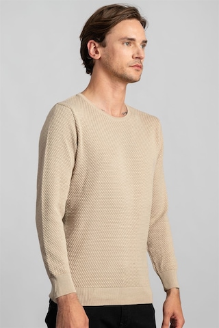 Tudors Slim Fit Dar Kesim Bisiklet Yaka Petek Desenli Erkek Kazak-22065 Krem