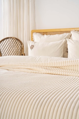 Şampanya Gloria Wellsoft Çift Kişilik Battaniye Krem