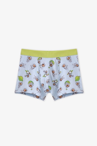 Penti Erkek Çocuk Mavi Capybaras Space Pamuklu 3lü Boxer