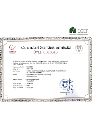 Organik Biberiye Fidesi 12 Adet