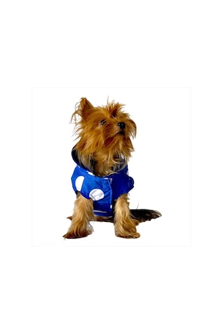 Kemique Mega Dots Blue Kapşonlu Köpek Yağmurluğu
