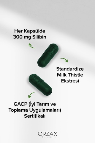 Milk Thistle 30 Tablet 300mg Silbin