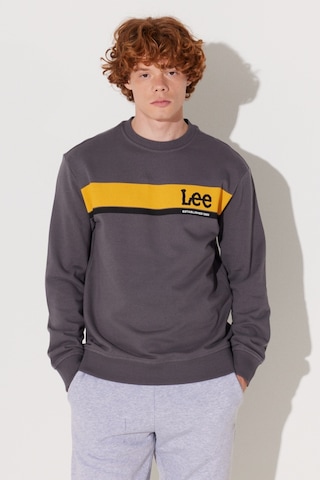Lee Regular Fit Normal Kesim Bisiklet Yaka Antrasit Sweatshirt L232501003 Antrasit