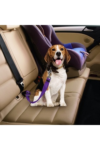 Kedi Köpek Araç İçi Ayarlanabilir Emniyet Kemeri - Sarı