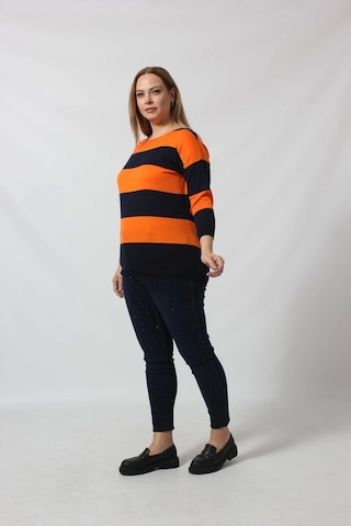 Çizgili Triko Kazak Çok Renkli