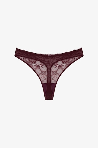 Penti Bordo Dantelli Tanga