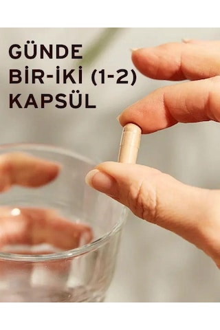 Solgar Reishi Shiitake Maytake Mantar Ekstresi Takviye Edici Gıda 50 Kapsül