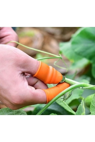 Büro Ev Ofis Mutfağı İçin 6parça Kolay Baş Parmak Korur Sebze Kesme Ayıklayıcı Seti Diğer