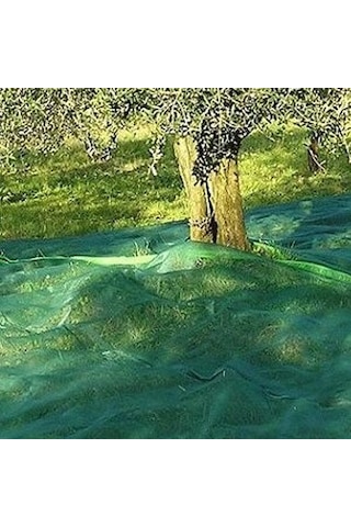Hasat Zeytin, Dut, Kayısı Toplama Filesi 6x5 M Renksiz