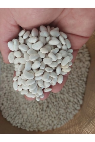 Kuru Fasulye 3kg