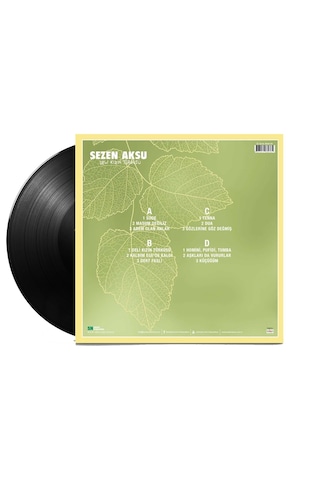 Sezen Aksu - Deli Kızın Türküsü 2 Plak