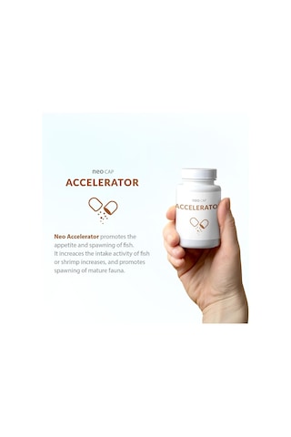 Neo Cap Accelerator