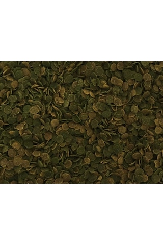 Lotus Protect Algae Garlic Kova Balık Yemi 2400 G