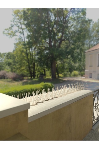 Plastik Kuşkonmaz Bariyer Kuş Engelleyici 3d Model 50 Cm