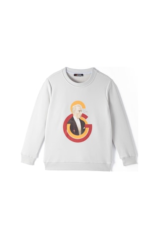 Galatasaray Çocuk Ata Sweatshirt C251282 Gri
