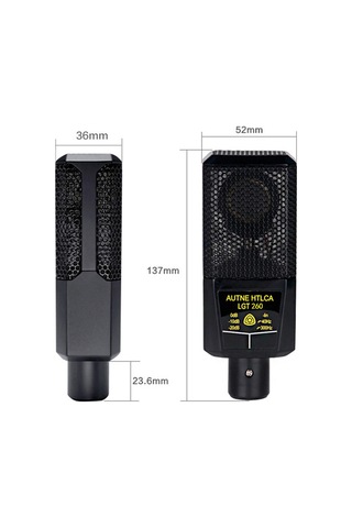 Singree Profesyonel Stüdyo Kayıt Mikrofonu - Kardiyoid Desenli, Gürültüsüz Xlr Mikrofon Seti