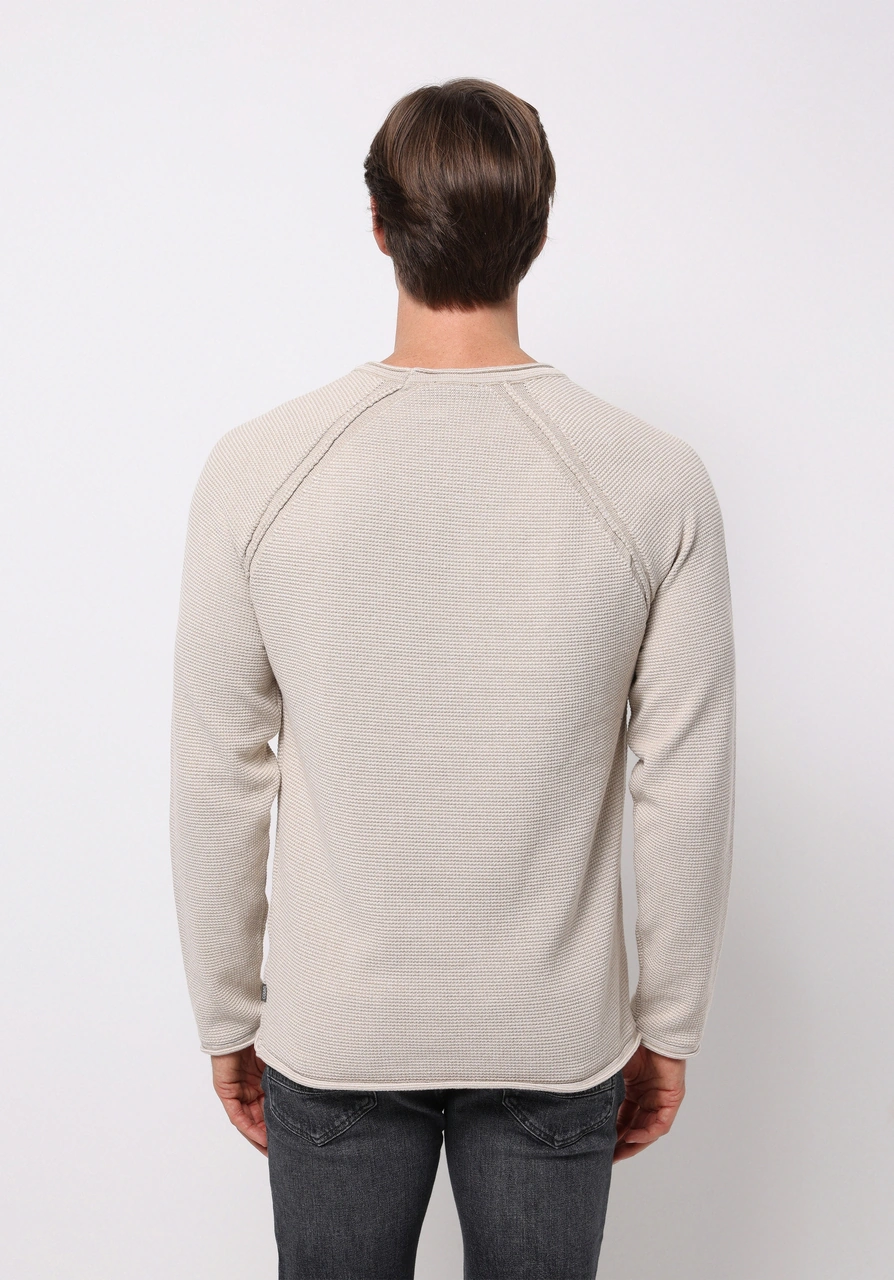 Colin's Colins Regular Fit Yuvarlak Yaka Jakarlı Erkek Bej Kazak Cl1076862 Q1.v2 Beı Bej