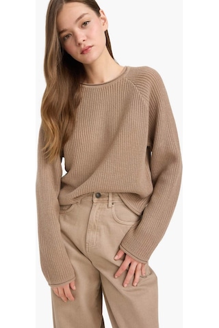 Defacto Coool Regular Fit Bisiklet Yaka Kadın Triko Kazak L2567AZ25WNBG647 - Bej