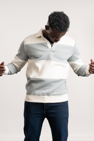 Fbı Polo Yaka Kalın Çizgili 3 İplik İçi Şardonlu Slimfit Sweatshirt Gri