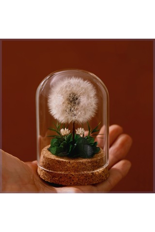 Mantar Tabanlı Sonsuz Karahindiba Cam Kubbe Süsü Yeşil