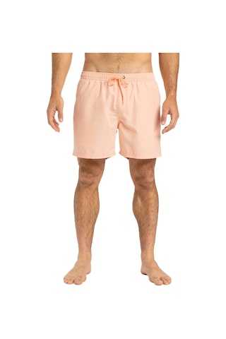 Quıksılver Quiksilver Spl Fineline 15 Erkek Volley Short Mef0 Çok Renkli