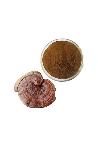 Reishi Ekstrak 40 G