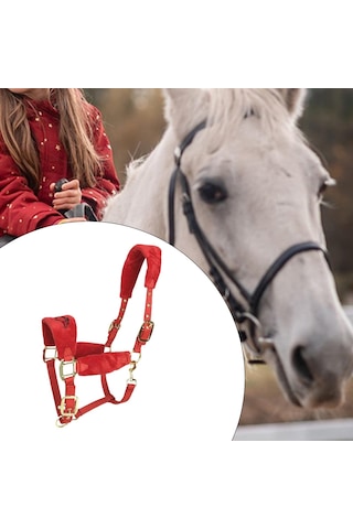 Homyl At Yuları Yastıklı Ayarlanabilir Kırmızı-m Kırmızı M