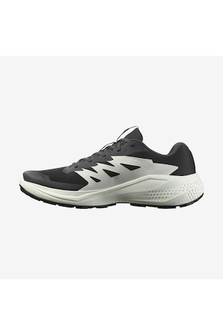 Salomon Alphaglıde Erkek Spor Ayakkabı L47801000 Siyah
