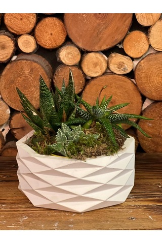 Geometrik Beyaz Dekoratif Saksı Modern Minimal Tasarım Bitki Dahil Değildir