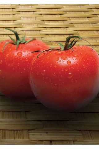 Domates Tohumu Almila 25 Gr