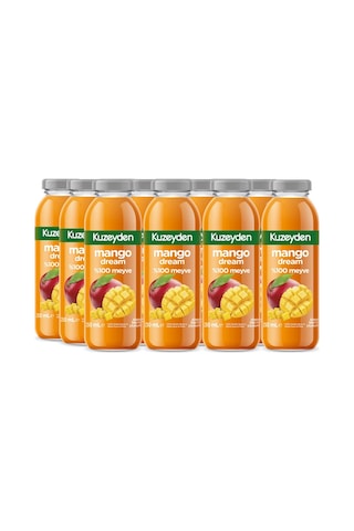 %100 Meyve Mango Dream 12x250ml %100 Meyve Mango Dream 12x250ml