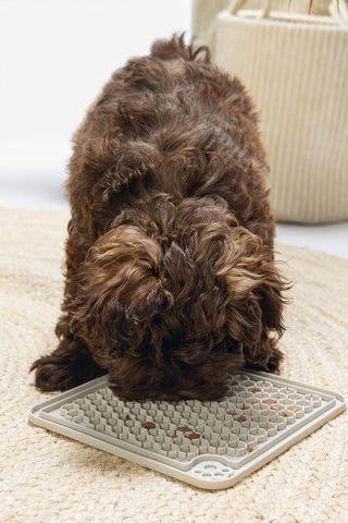 Beeztees Yavru Köpek Yaş Mama Yeme Oyuncağı, Kare, Silikon, Gri, 20x20cm