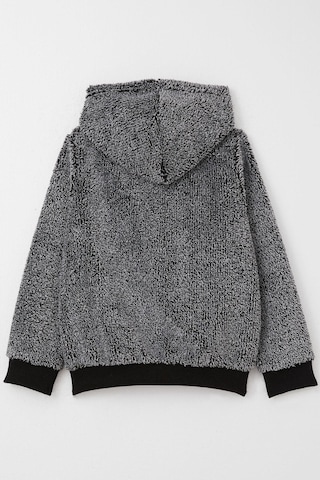 Breeze Erkek Bebek Peluş Hırka Kapüşonlu Fermuarlı 9 Ay-3 Yaş, Siyah Siyah