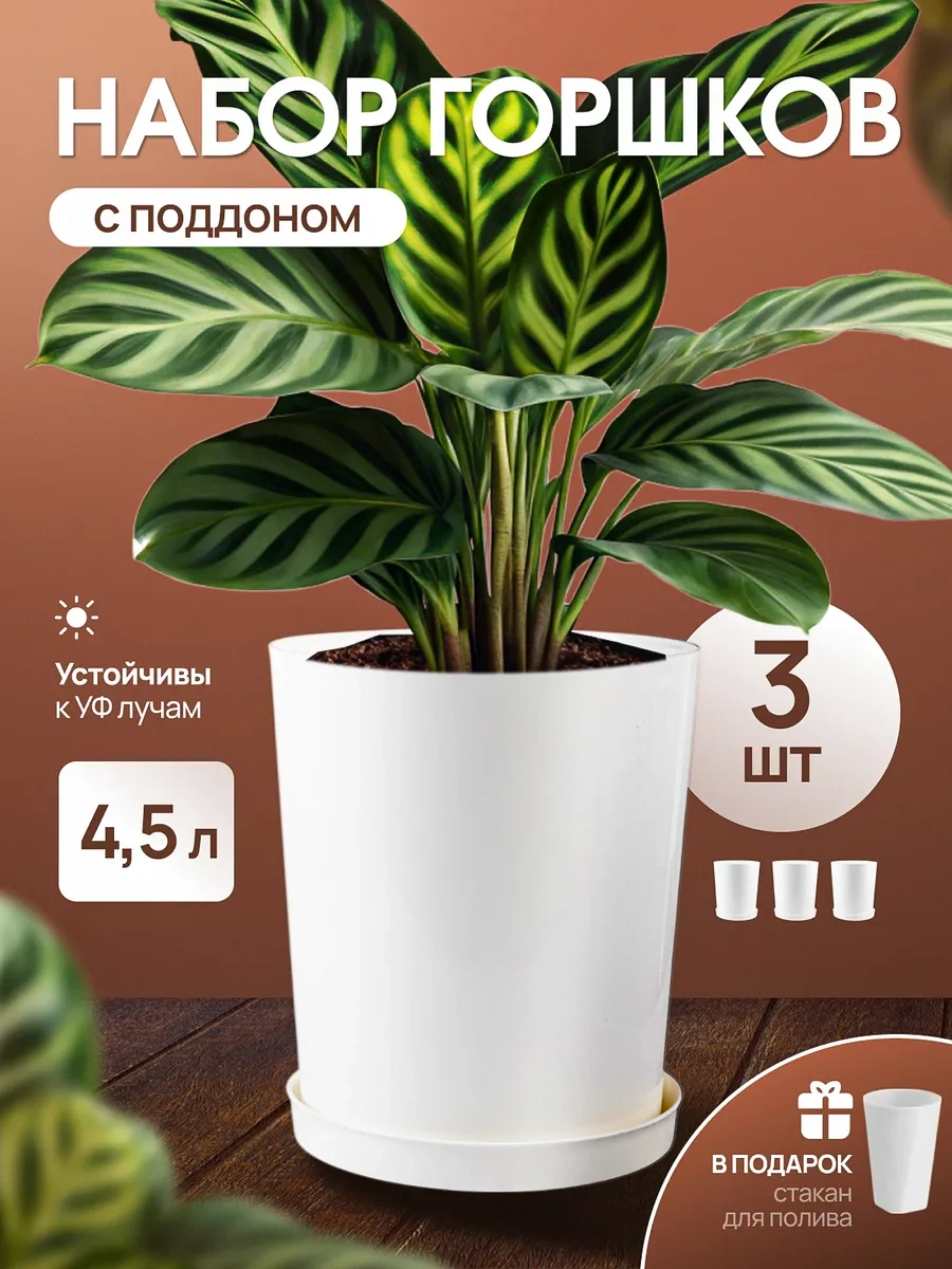 Onest Çiçek Saksısı 4,5 Litre Seti 437014512