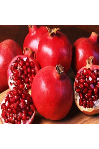 Tüplü Wonderful Nar Fidanı Sınırlı  Stok